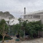 Área dos fundos de residência protegida com rede para gatos no bairro Coloninha em Florianópolis SC permitindo livre circulação dos pets com segurança.