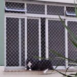 Gato deitado sobre rede de proteção cristal Equiplex® instalada em apartamento no bairro Trindade em Florianópolis SC.