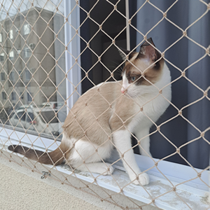 Rede de proteção para gato instalada em janela de apartamento na Grande Florianópolis garantindo segurança contra quedas e fugas.