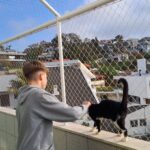 Rede de proteção para gatos instalada em cobertura de apartamento no bairro Roçado em São José SC com estrutura de alumínio e proteção inclinada em 45 graus.